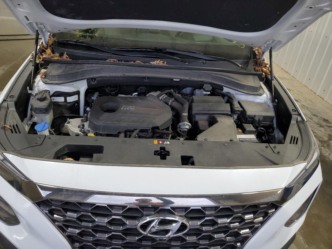 2020 Hyundai Santa Fe Limited VIN: 5NMS5CAA4LH219616 Lot: 92722435