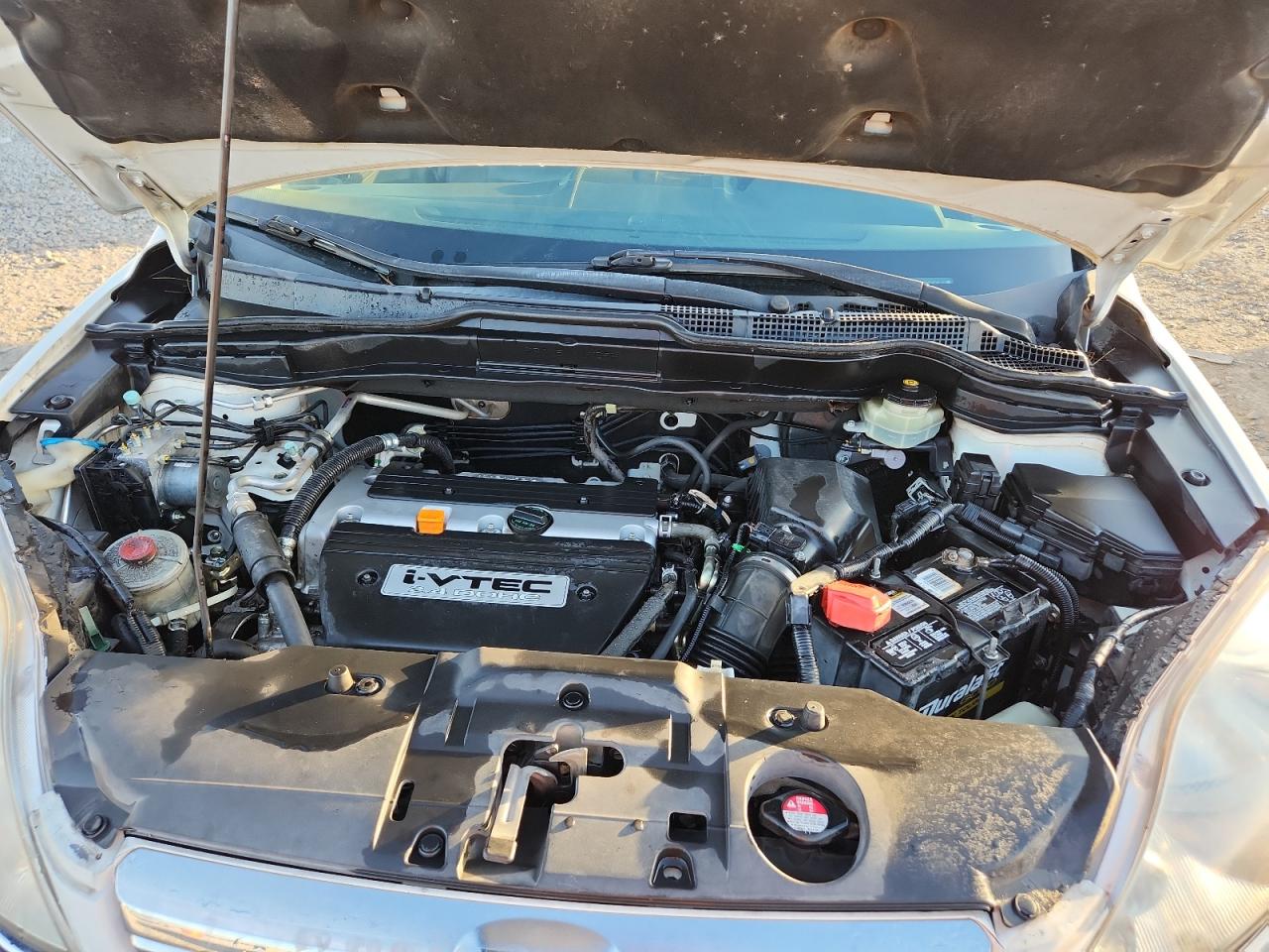 2008 Honda Cr-V Exl VIN: JHLRE48798C064648 Lot: 91427385