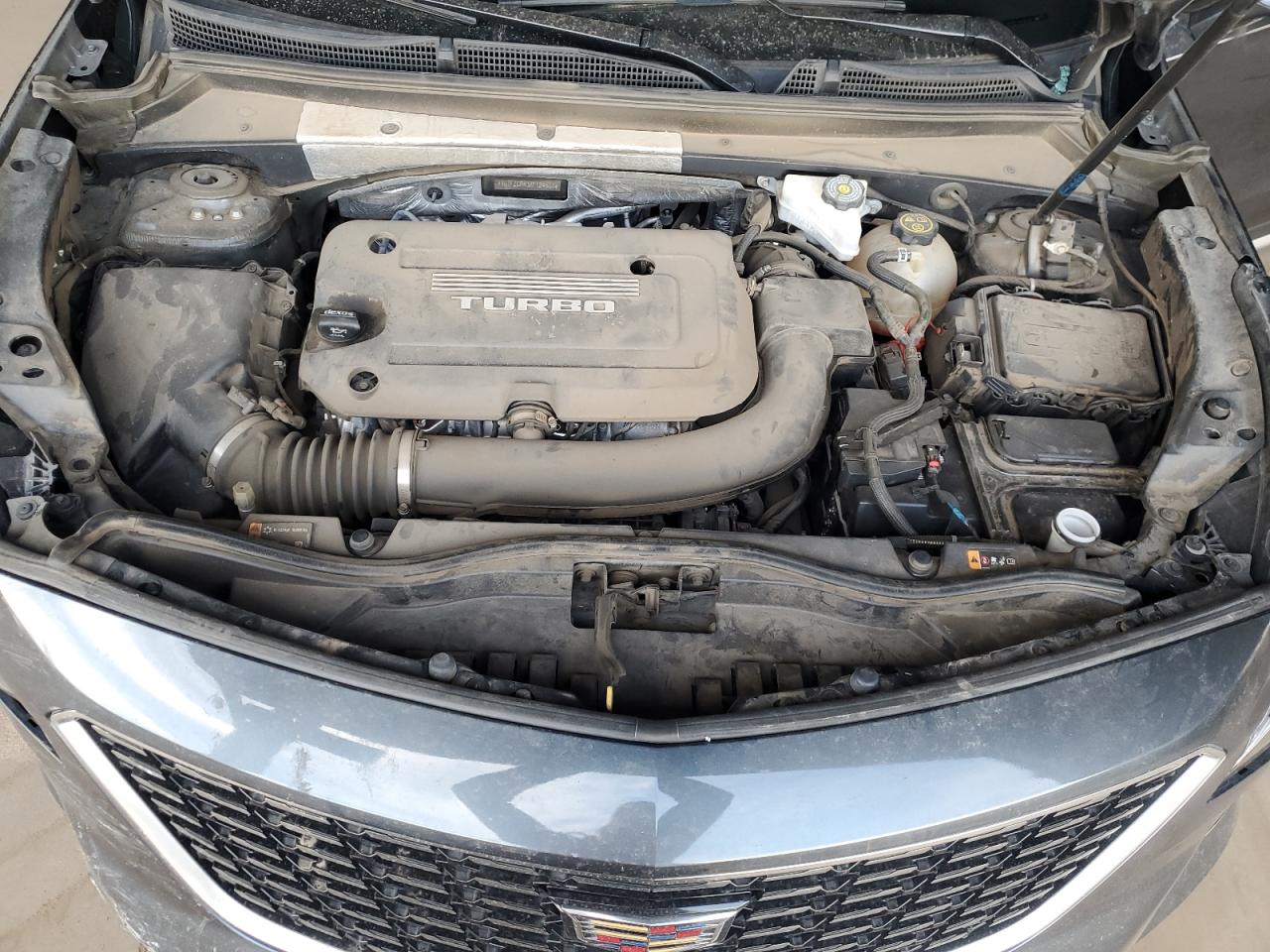 2019 Cadillac Xt4 Premium Luxury VIN: 1GYFZCR43KF124507 Lot: 89920295