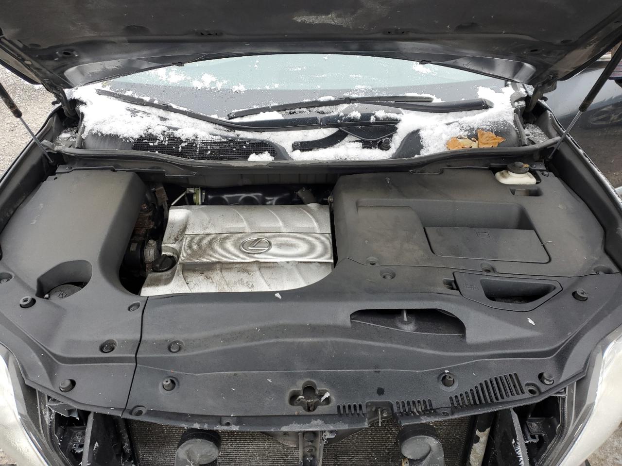 2010 Lexus Rx 350 VIN: 2T2BK1BA4AC005980 Lot: 93789545