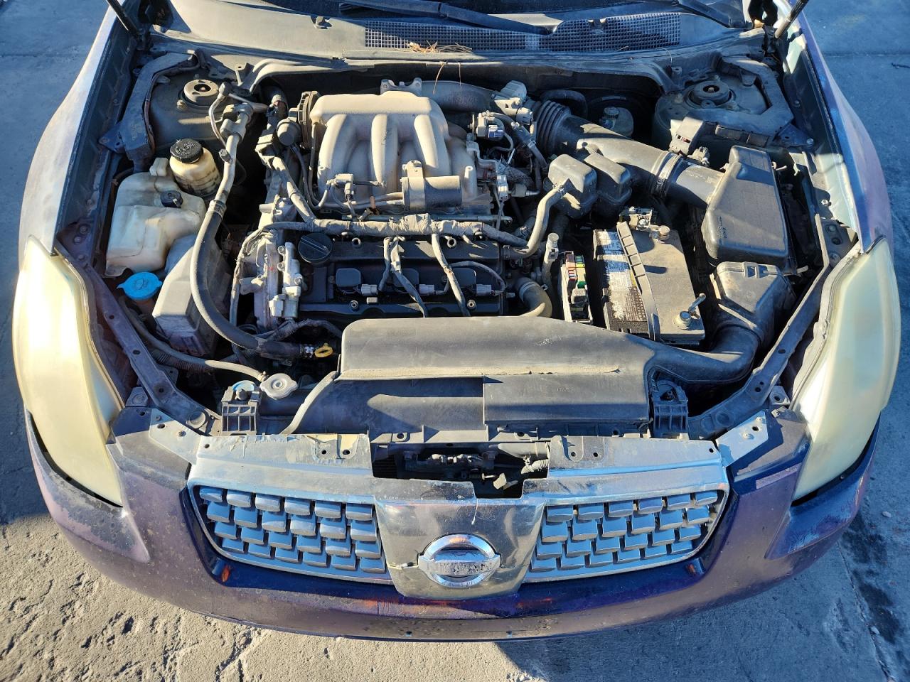 2006 Nissan Maxima Se VIN: 1N4BA41E56C802712 Lot: 93536095