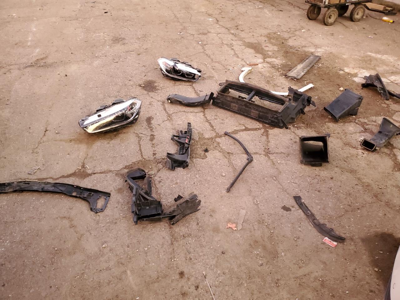 Фото: WBXYN1C00L5P17207