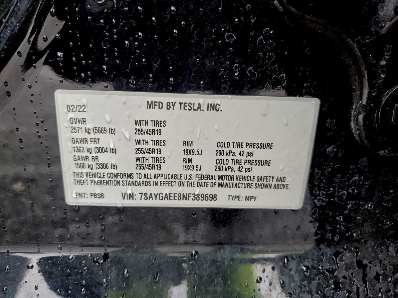 2022 Tesla Model Y VIN: 7SAYGAEE8NF389698 Lot: 92749645