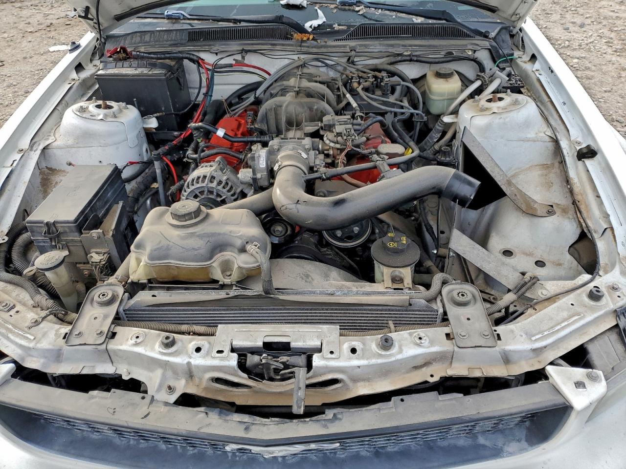 2007 Ford Mustang VIN: 1ZVFT80N075273431 Lot: 94418935