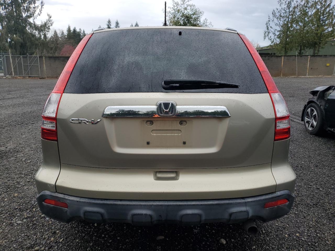 2007 Honda Cr-V Ex VIN: JHLRE38587C070450 Lot: 89649395