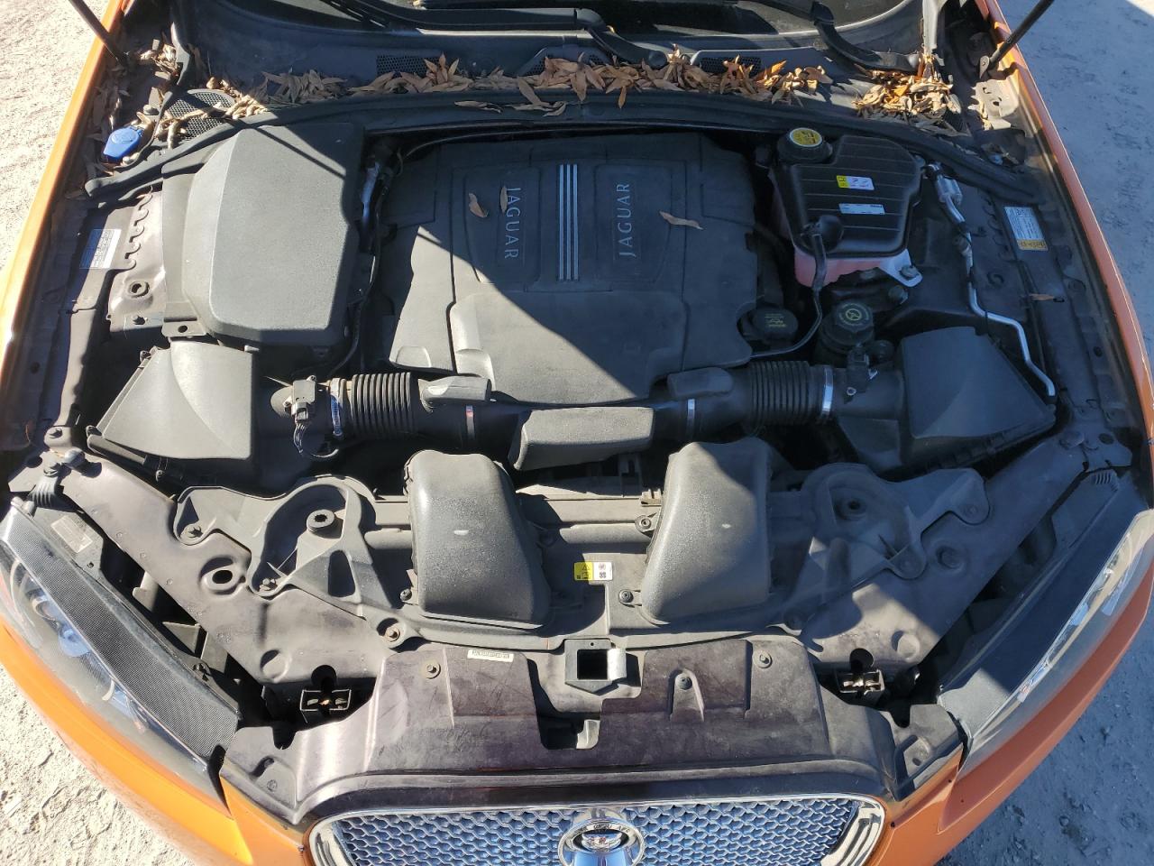 2012 Jaguar Xf Portfolio VIN: SAJWA0HBXCLS30016 Lot: 91243875