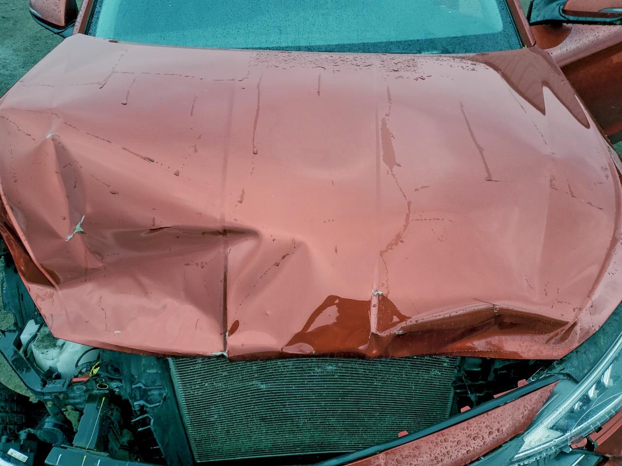 2019 Hyundai Elantra Sel VIN: KMHD84LF8KU858017 Lot: 93124265