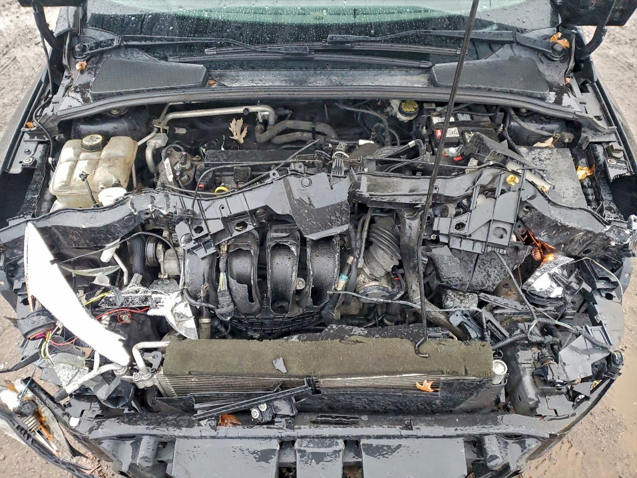 2013 Ford Focus S VIN: 1FADP3E27DL317342 Lot: 94445255