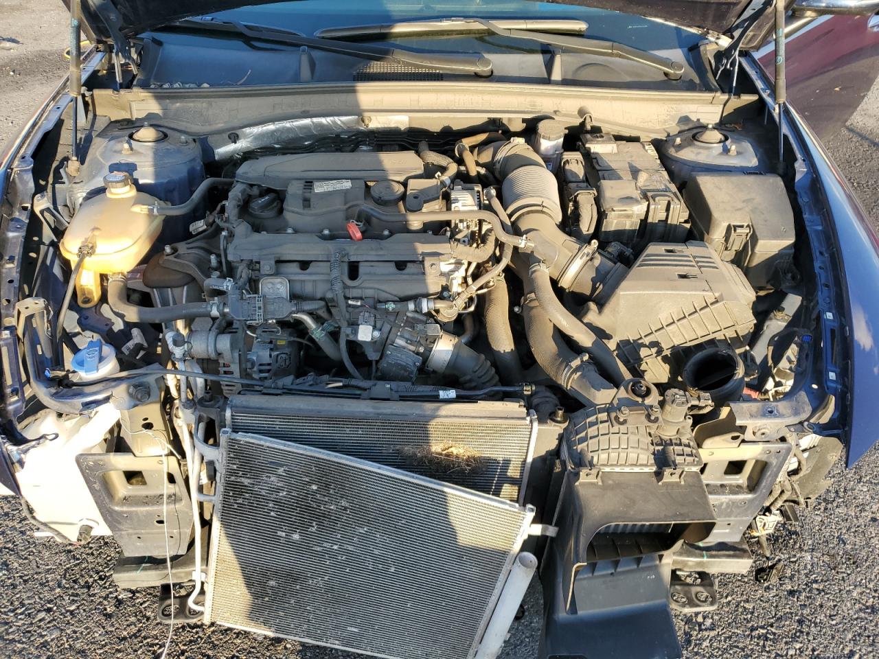 2021 Hyundai Sonata Limited VIN: 5NPEH4J25MH115305 Lot: 92207025