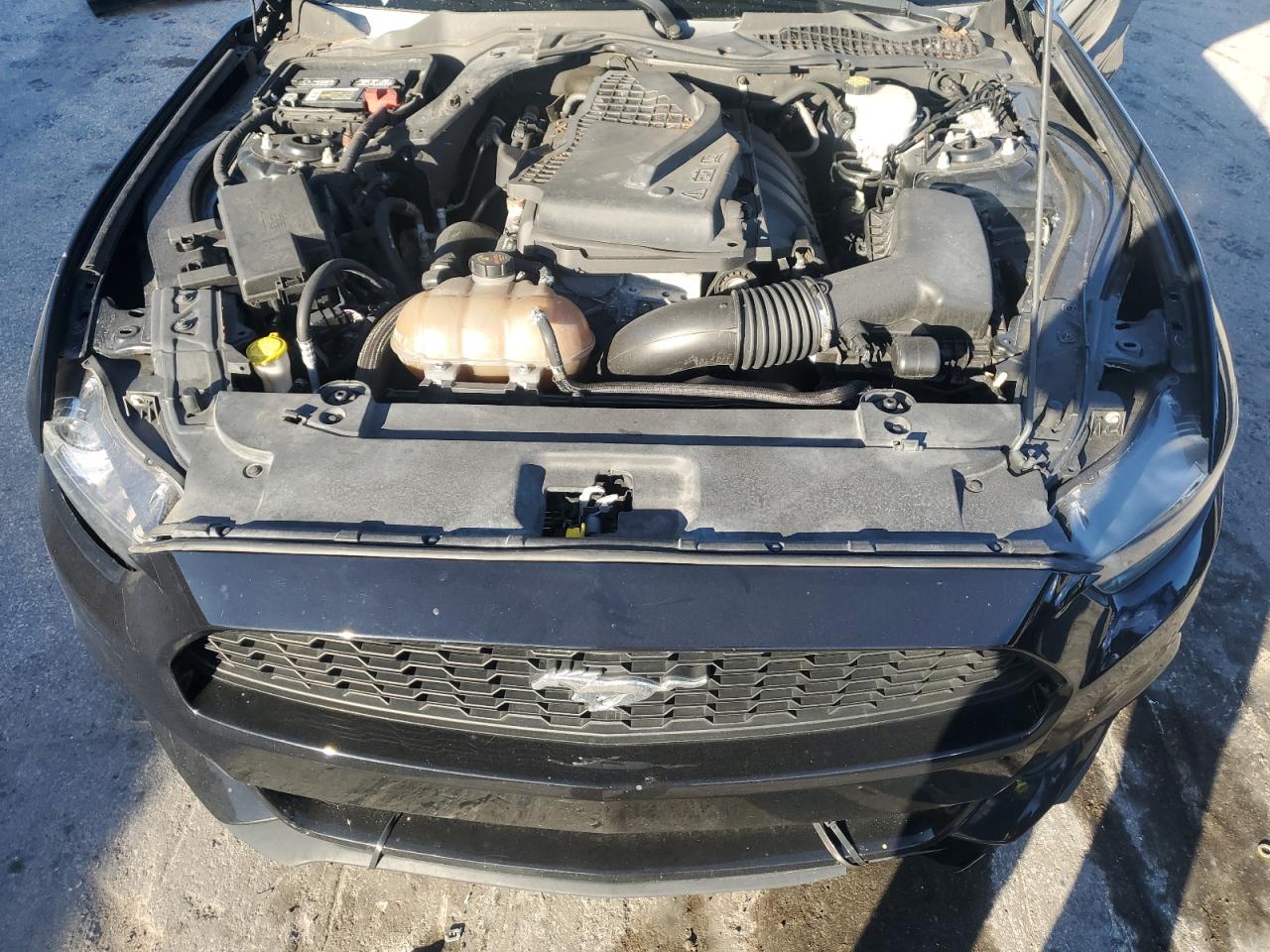 2015 Ford Mustang VIN: 1FA6P8TH4F5344342 Lot: 92617195