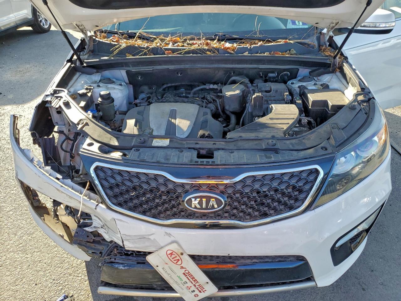 2013 Kia Sorento Sx VIN: 5XYKWDA22DG387939 Lot: 94291165