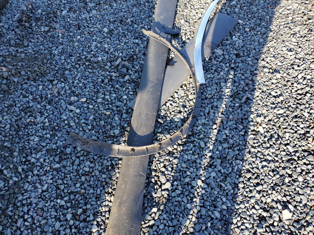 2024 Tesla Model Y VIN: 7SAYGDEF6RF079954 Lot: 93477085