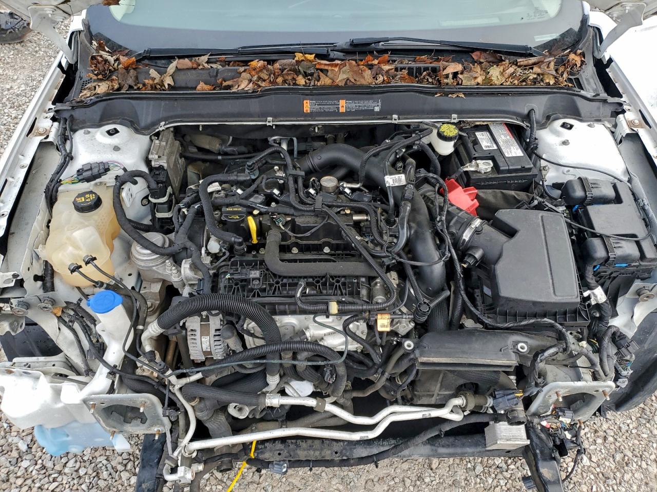 2019 Ford Fusion Se VIN: 3FA6P0HD4KR286344 Lot: 93536075