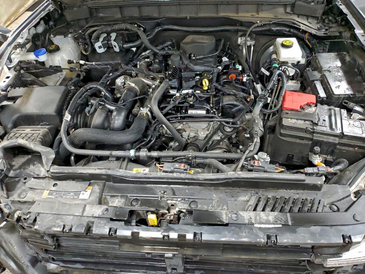 2024 Ford Bronco Big Bend VIN: 1FMDE7BH5RLA56229 Lot: 94266365