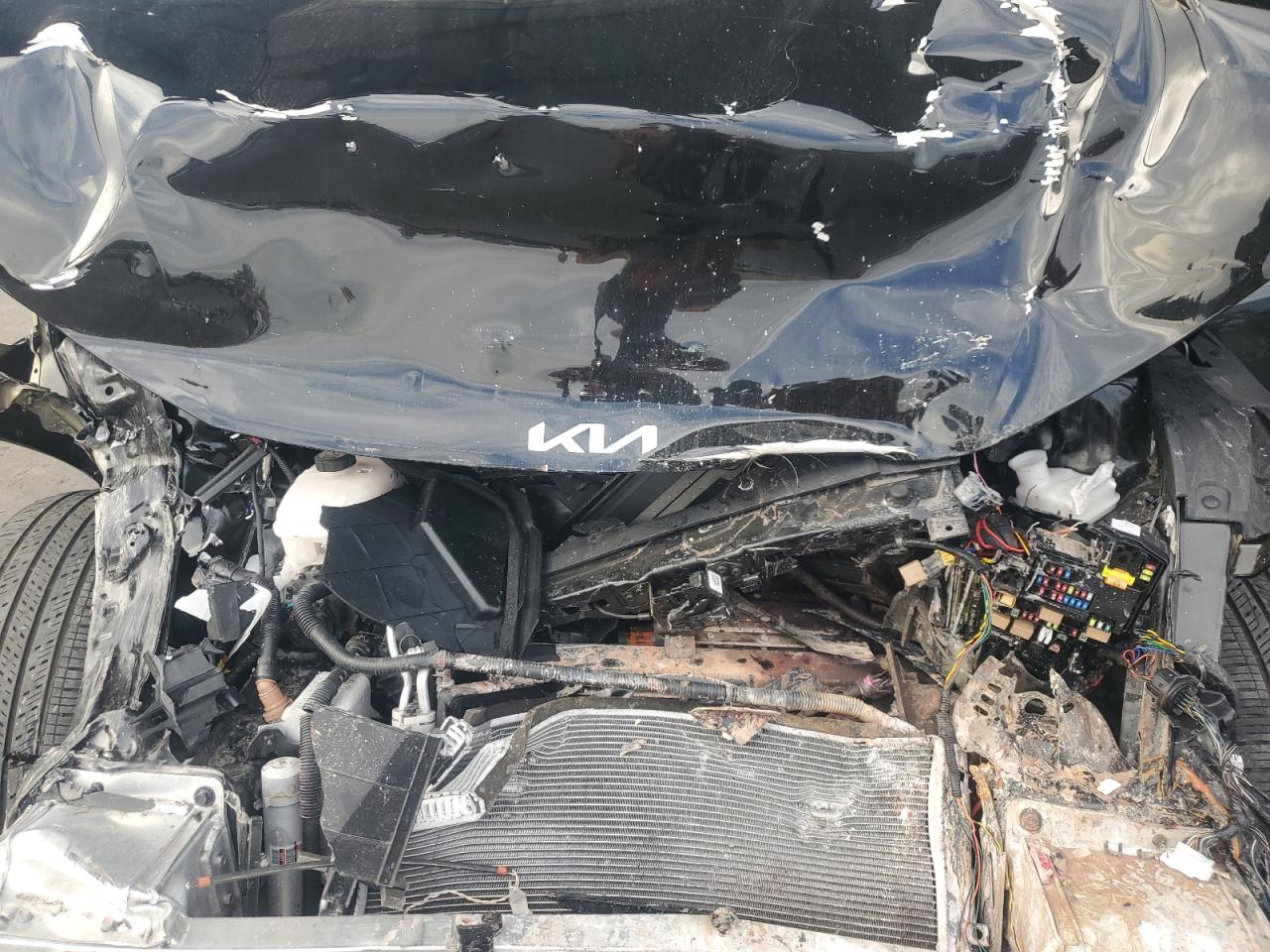 2024 Kia Ev6 Light VIN: KNDC34LA8R5211771 Lot: 92512975