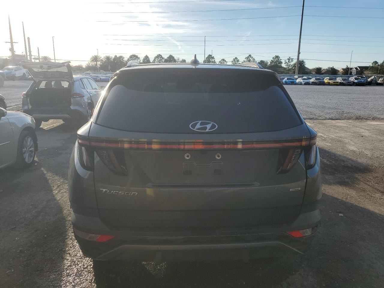 2022 Hyundai Tucson Limited VIN: 5NMJECAE5NH130882 Lot: 92499985
