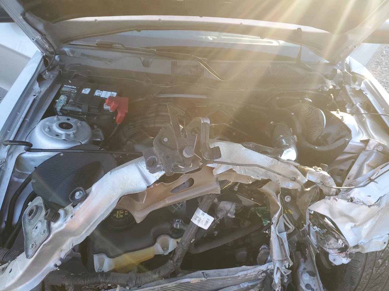 2013 Ford Mustang VIN: 1ZVBP8AM5D5205534 Lot: 93102885