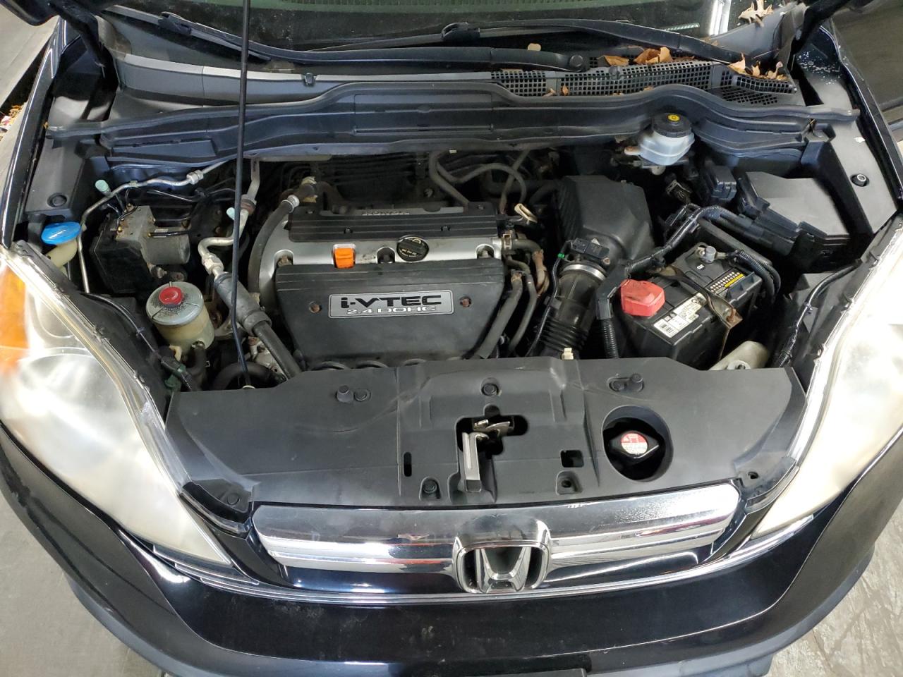 2008 Honda Cr-V Exl VIN: JHLRE487X8C016589 Lot: 93208005