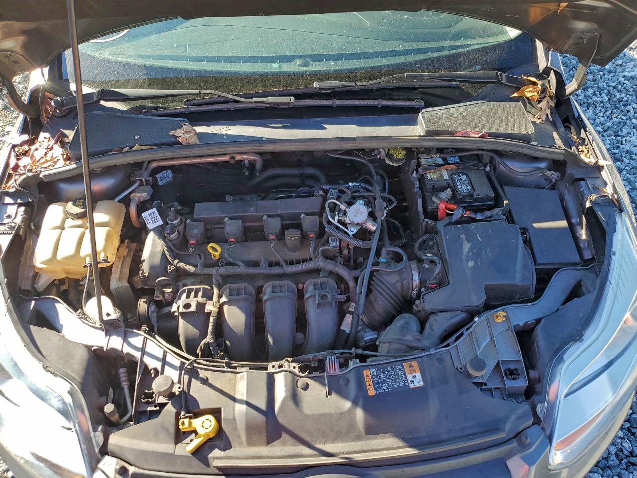 2014 Ford Focus Se VIN: 1FADP3F28EL425338 Lot: 94059915