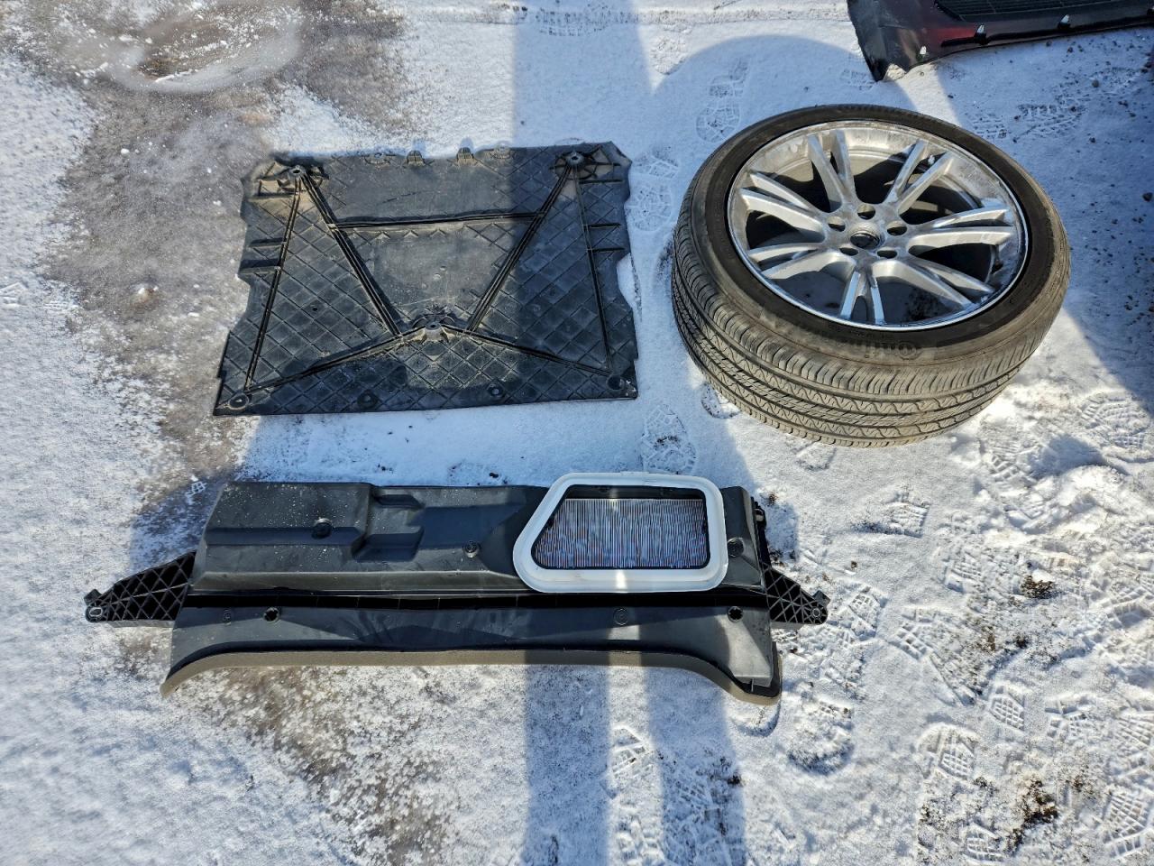 2023 Tesla Model Y VIN: 7SAYGDEE4PF772879 Lot: 92074025