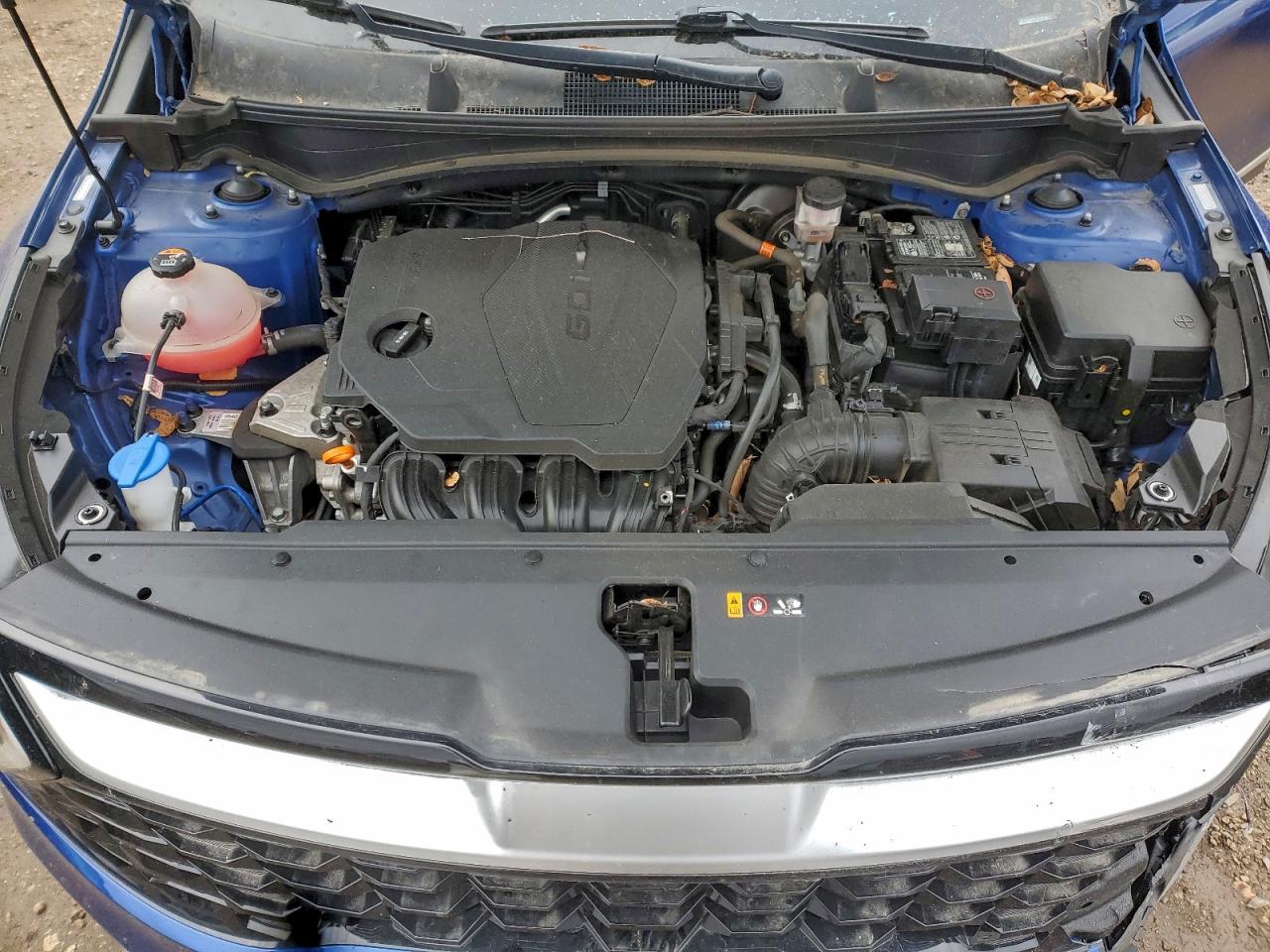 2023 Kia Sportage Ex VIN: 5XYK33AF6PG106235 Lot: 91887545