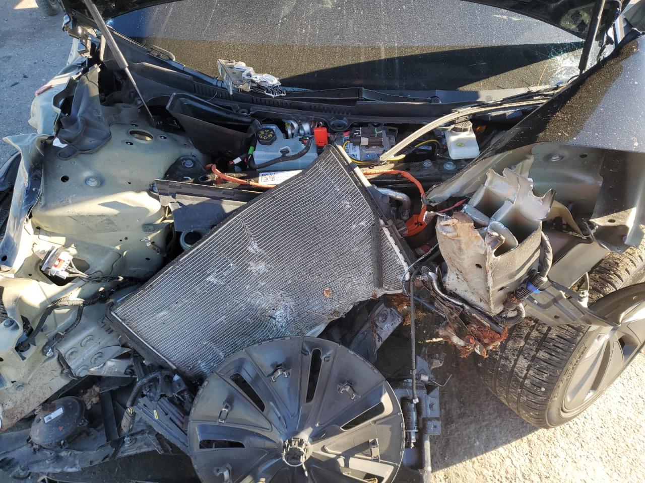 2024 Tesla Model 3 VIN: 5YJ3E1EA4RF855577 Lot: 92073755