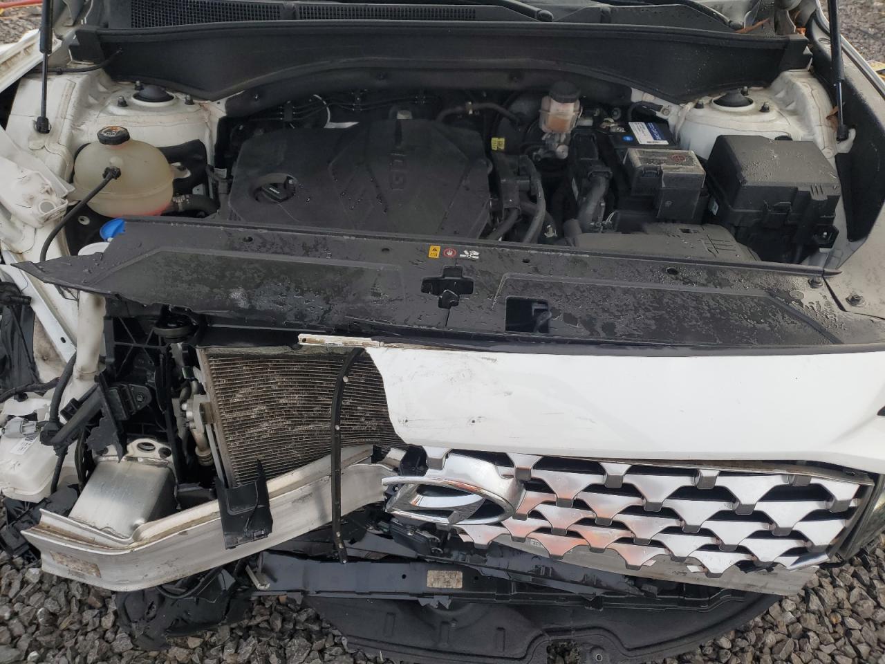 2021 Hyundai Santa Fe Sel VIN: 5NMS2DAJ3MH369779 Lot: 93517965