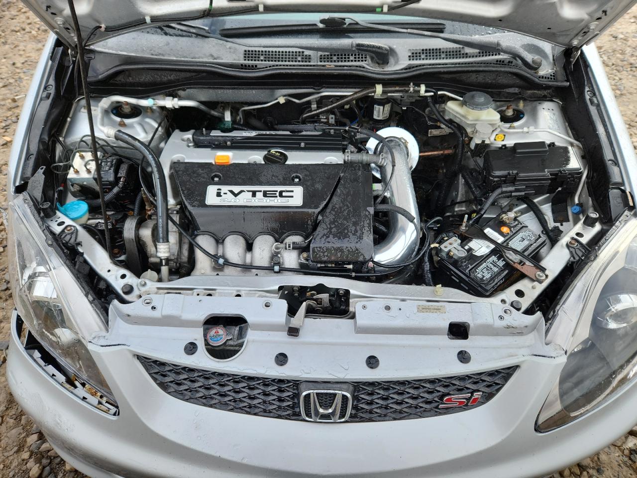 2004 Honda Civic Si VIN: SHHEP33514U500281 Lot: 92621355