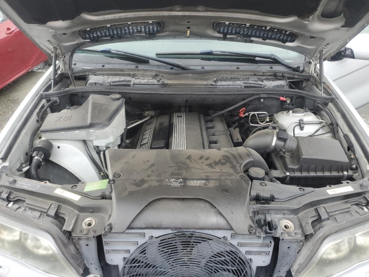 Фото: 5UXFA13544LU26149