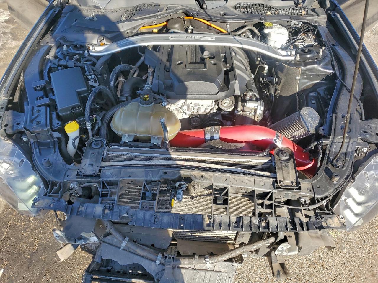 2019 Ford Mustang VIN: 1FA6P8TH1K5124330 Lot: 94096415