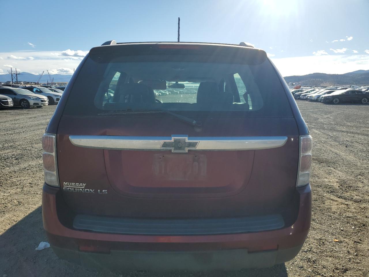 2007 Chevrolet Equinox Ls VIN: 2CNDL13FX76249997 Lot: 91274015