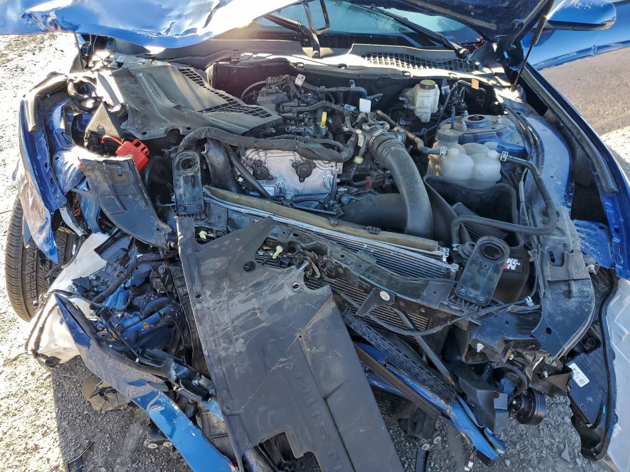 2024 Ford Mustang VIN: 1FA6P8TH9R5139894 Lot: 94115075