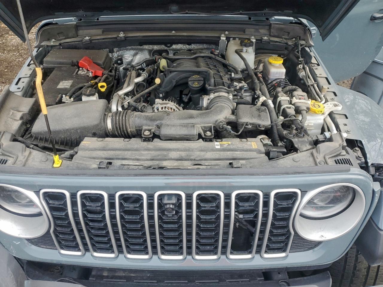 2024 Jeep Wrangler Sahara VIN: 1C4PJXEG7RW231322 Lot: 91904845