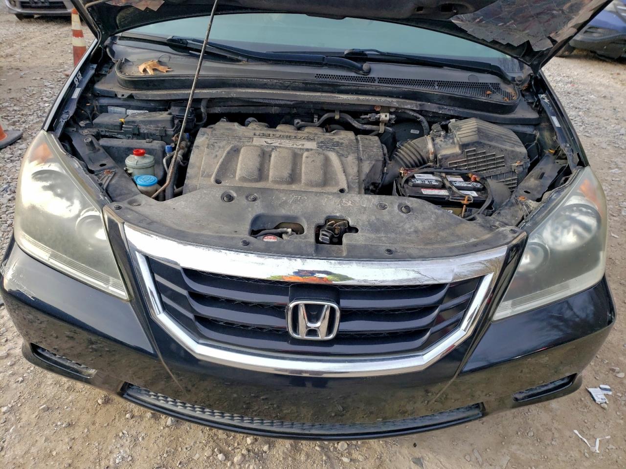 2009 Honda Odyssey Exl VIN: 5FNRL38779B022562 Lot: 94282295