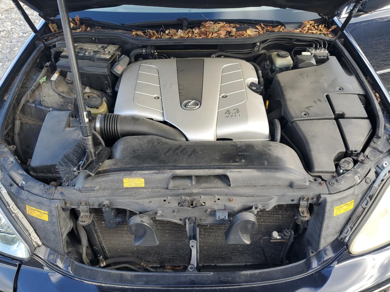 2006 Lexus Ls 430 VIN: JTHBN36F265037116 Lot: 92557675