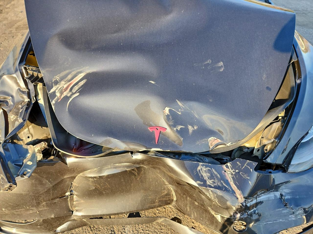 2024 Tesla Model Y VIN: 7SAYGDEF9RF022552 Lot: 94241155