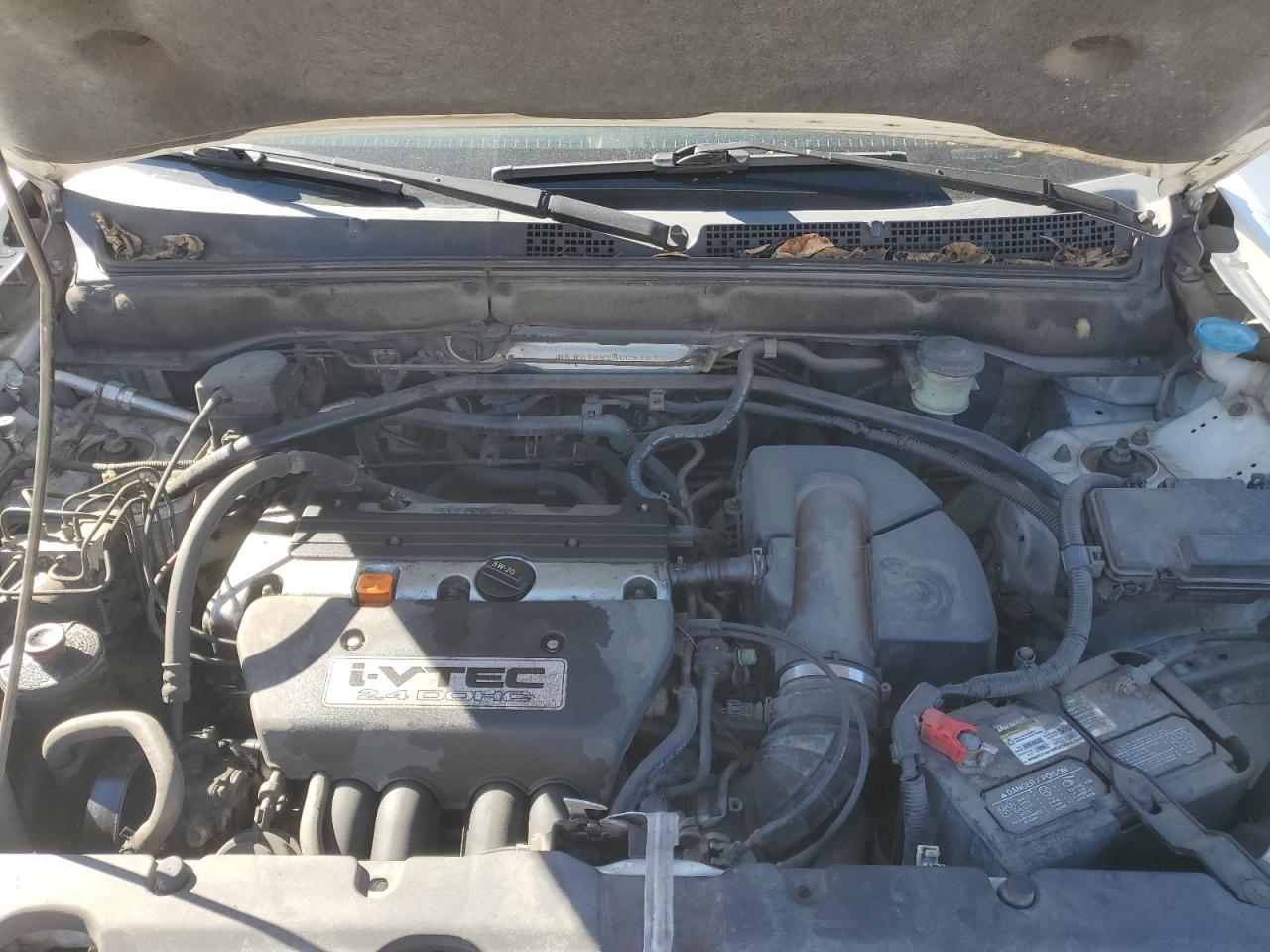 2004 Honda Cr-V Ex VIN: JHLRD78824C051571 Lot: 91778915