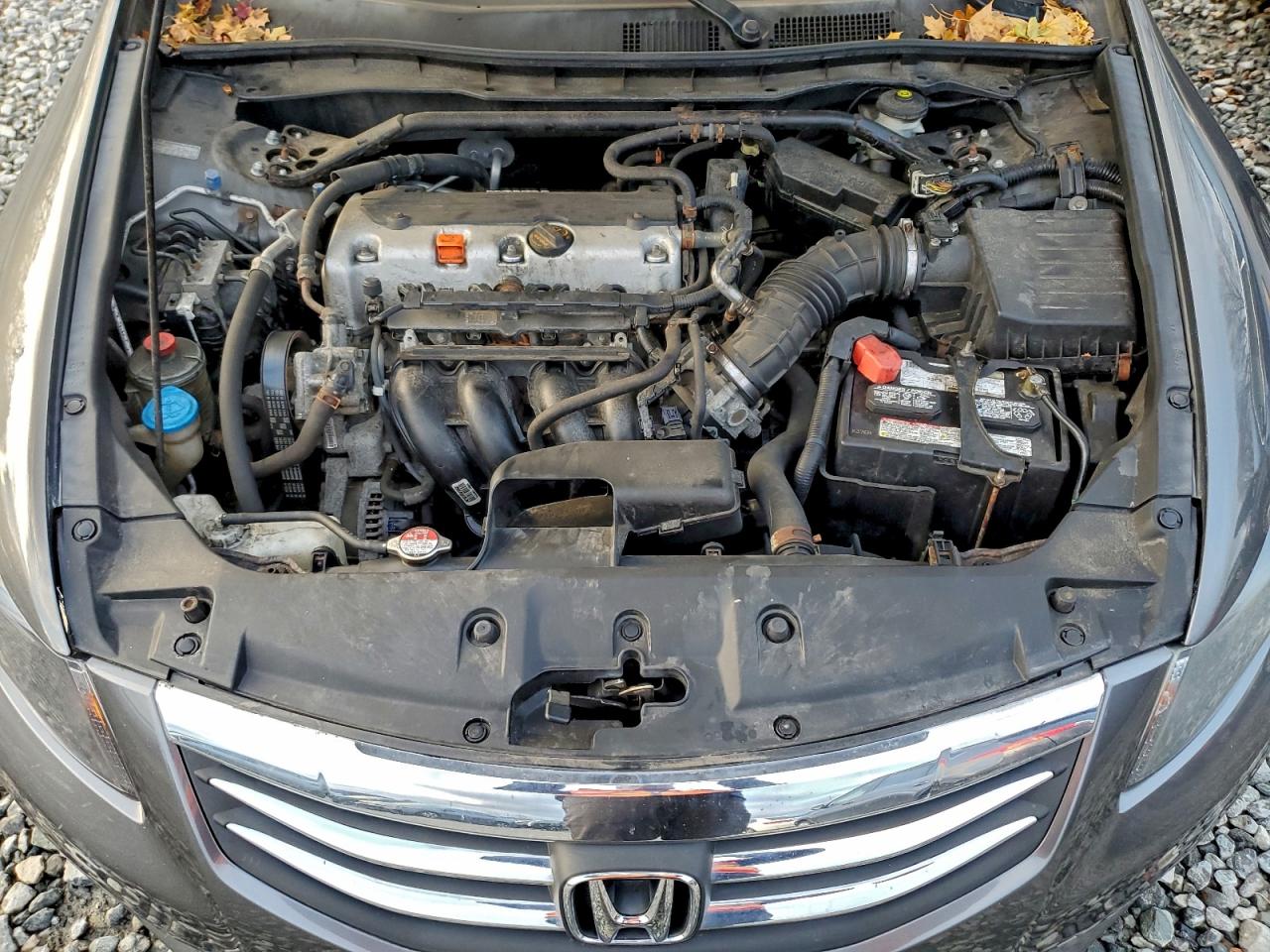 2011 Honda Accord Exl VIN: 1HGCP2F8XBA098860 Lot: 93616475