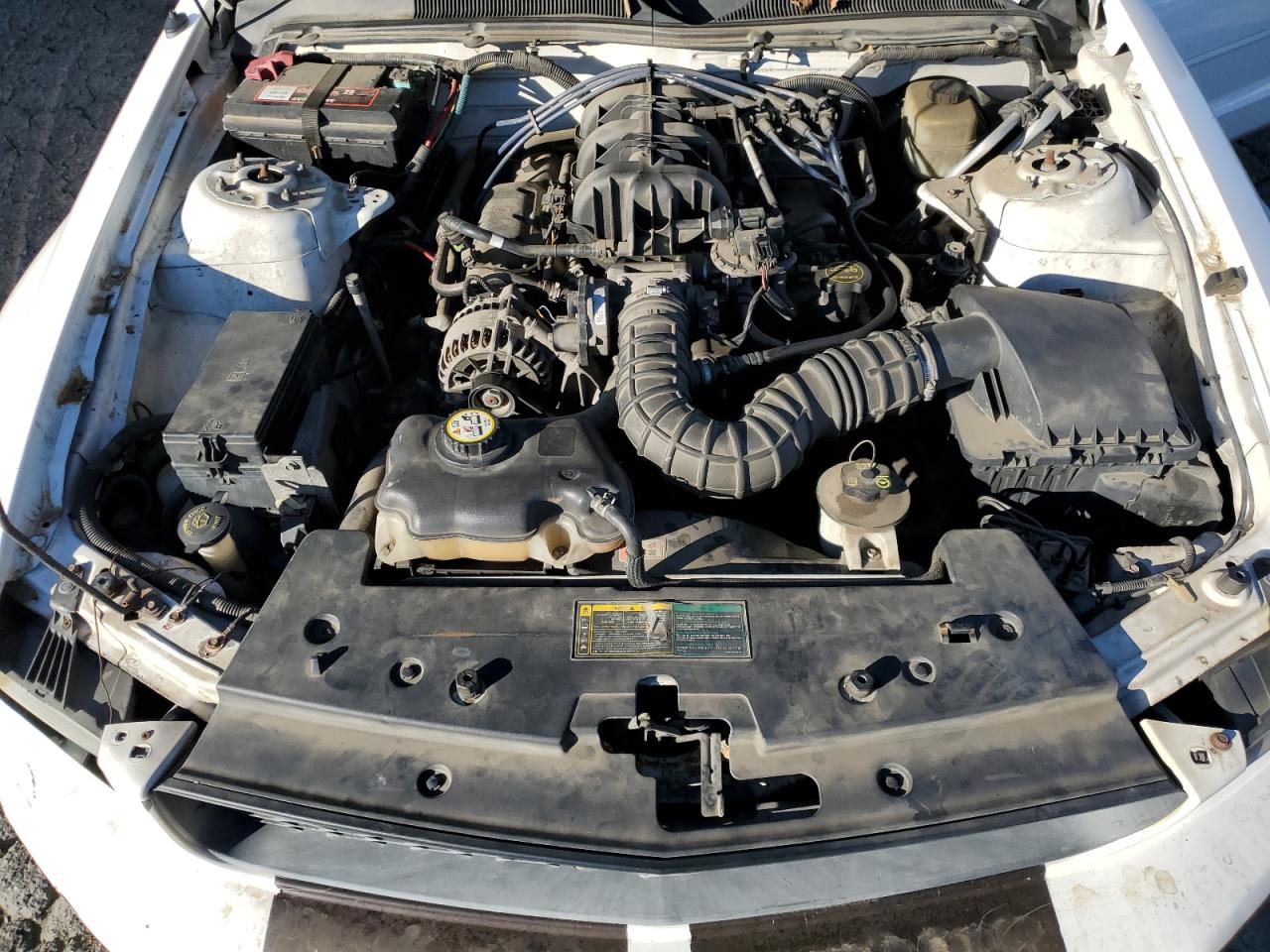 2006 Ford Mustang VIN: 1ZVFT84N965166354 Lot: 92284575