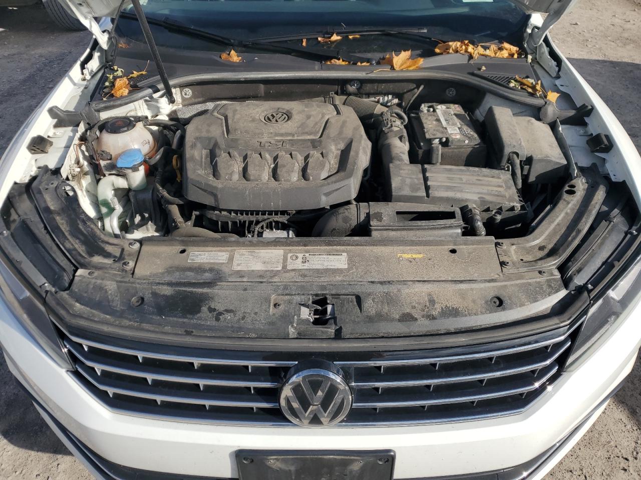 2019 Volkswagen Passat Wolfsburg VIN: 1VWLA7A33KC010838 Lot: 92889175