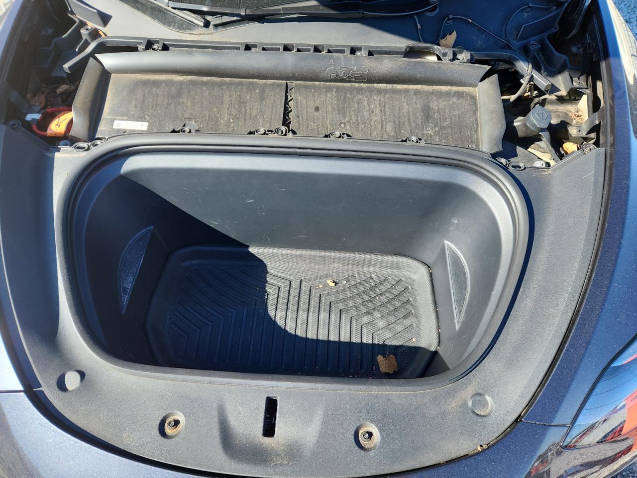 2024 Tesla Model Y VIN: 7SAYGDED8RA307366 Lot: 92084915