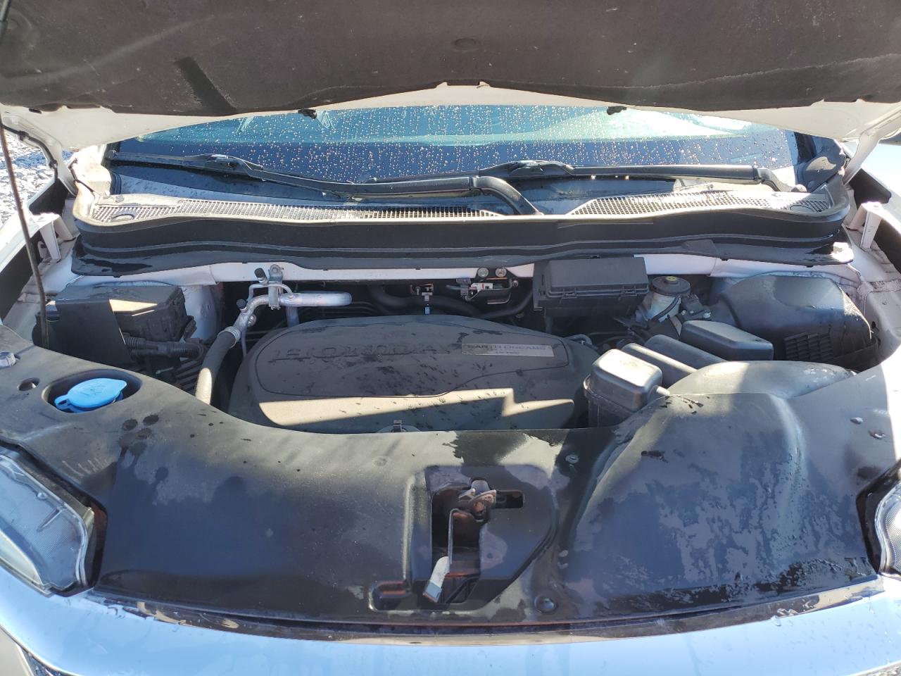 2020 Honda Pilot Ex VIN: 5FNYF5H31LB017621 Lot: 93911655