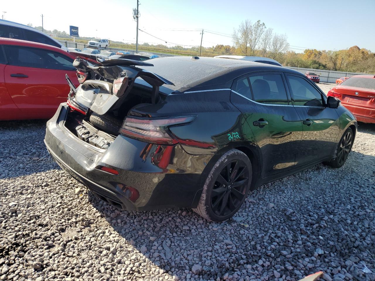 2023 Nissan Maxima Sr VIN: 1N4AA6EV7PC511969 Lot: 90788165