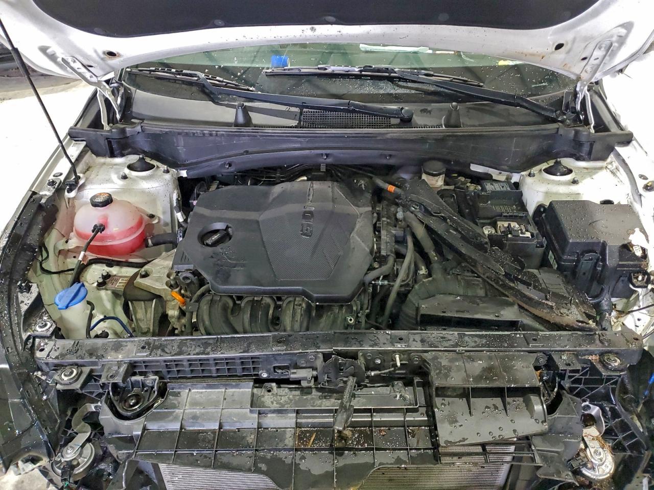 2023 Kia Sportage X-Pro VIN: 5XYK7CAFXPG052846 Lot: 92094605