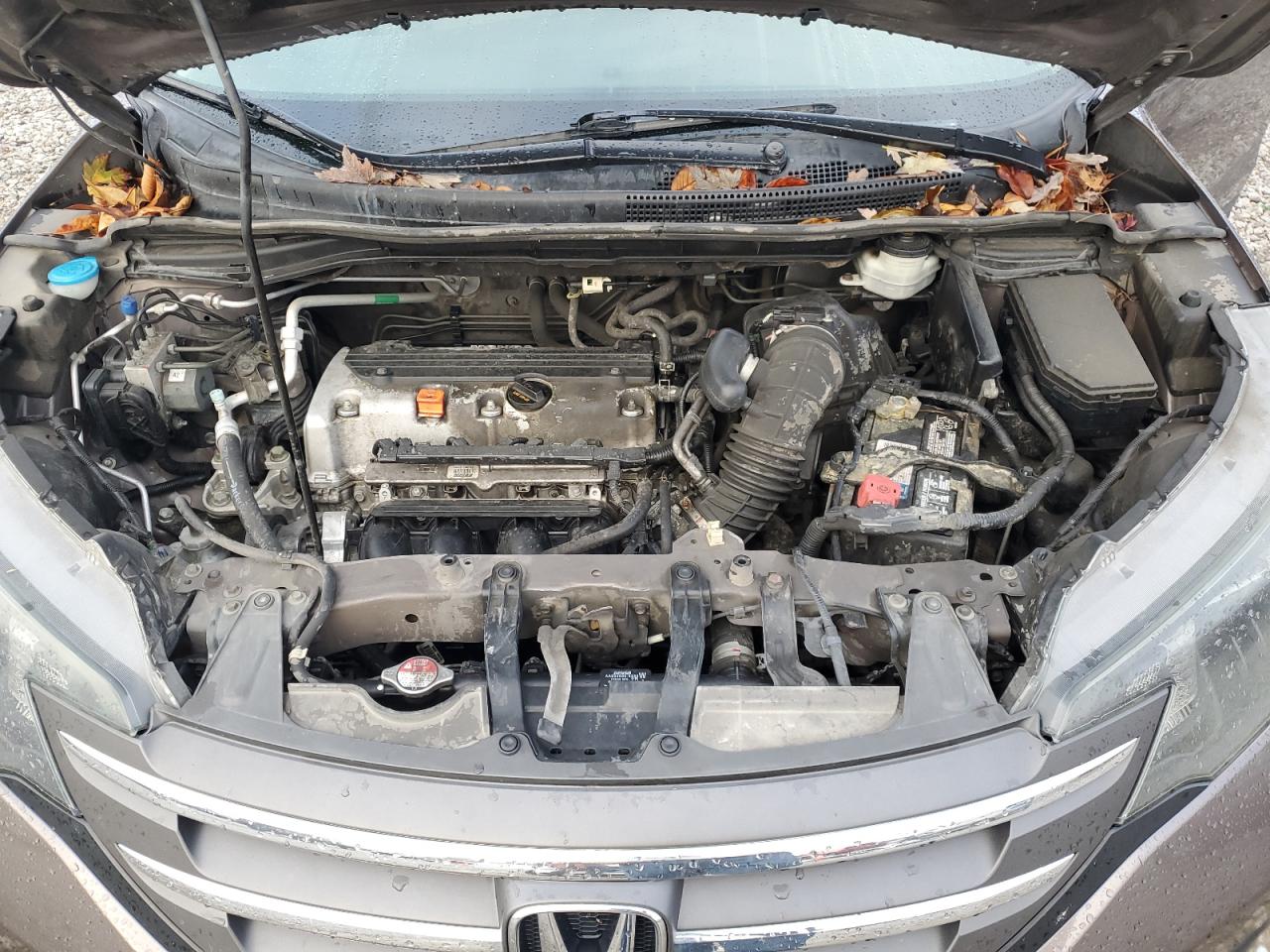 2014 Honda Cr-V Ex VIN: 2HKRM4H52EH719618 Lot: 93685005