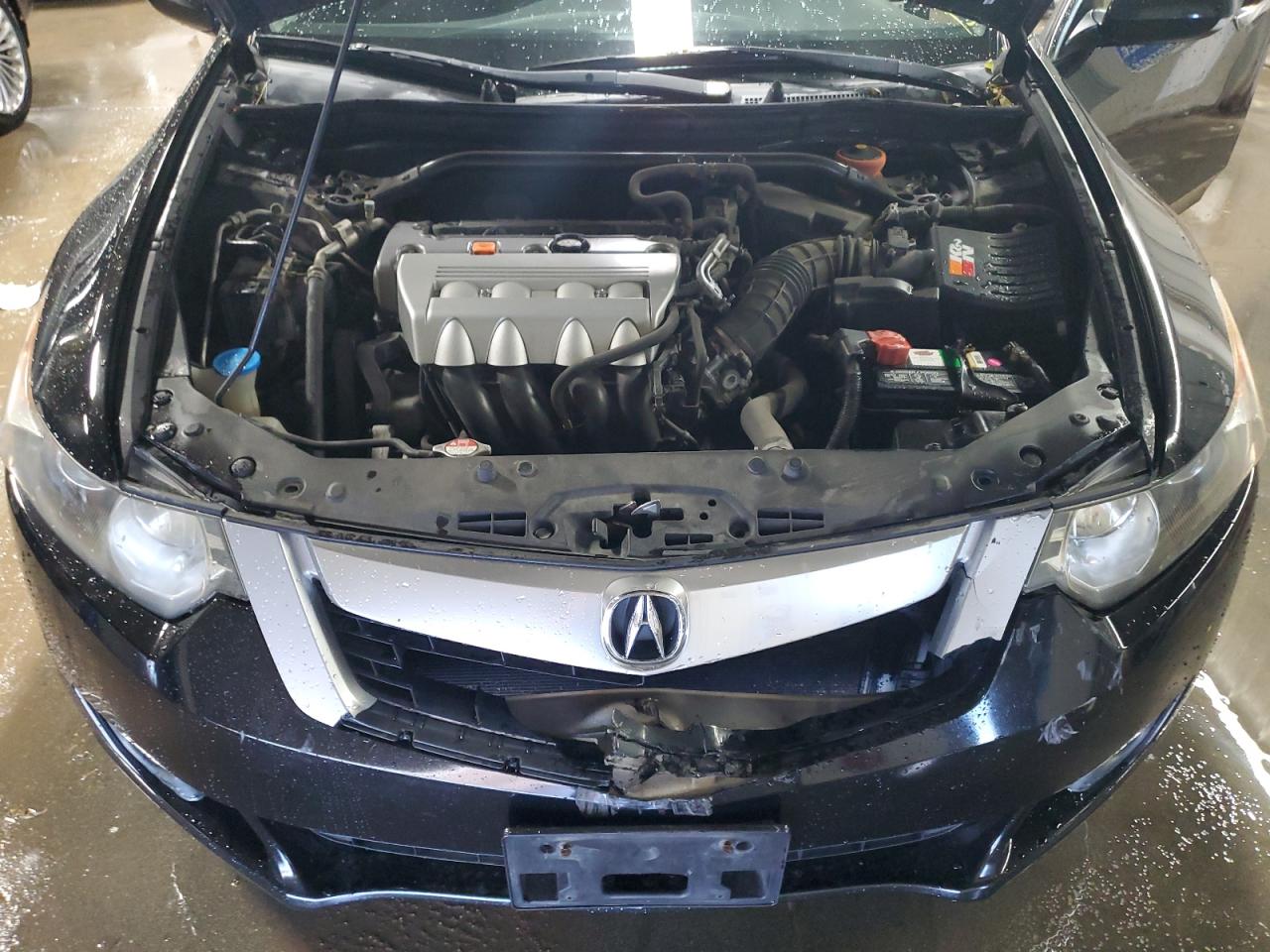 2009 Acura Tsx VIN: JH4CU26609C016654 Lot: 92046475