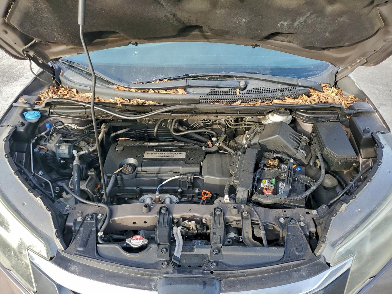 2015 Honda Cr-V Exl VIN: 2HKRM3H71FH519083 Lot: 94263875