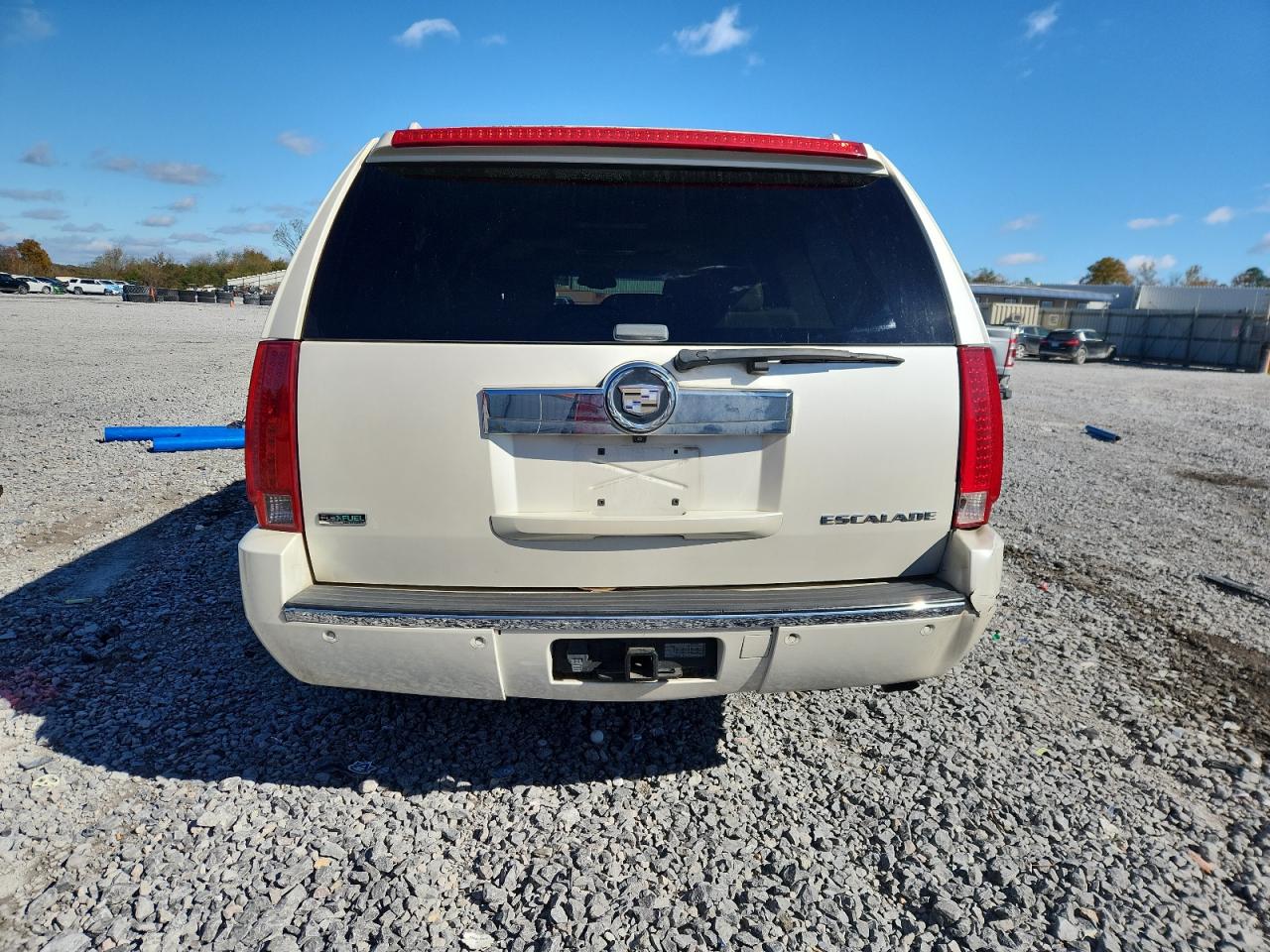 2010 Cadillac Escalade Esv Premium VIN: 1GYUKJEF1AR110884 Lot: 92122785