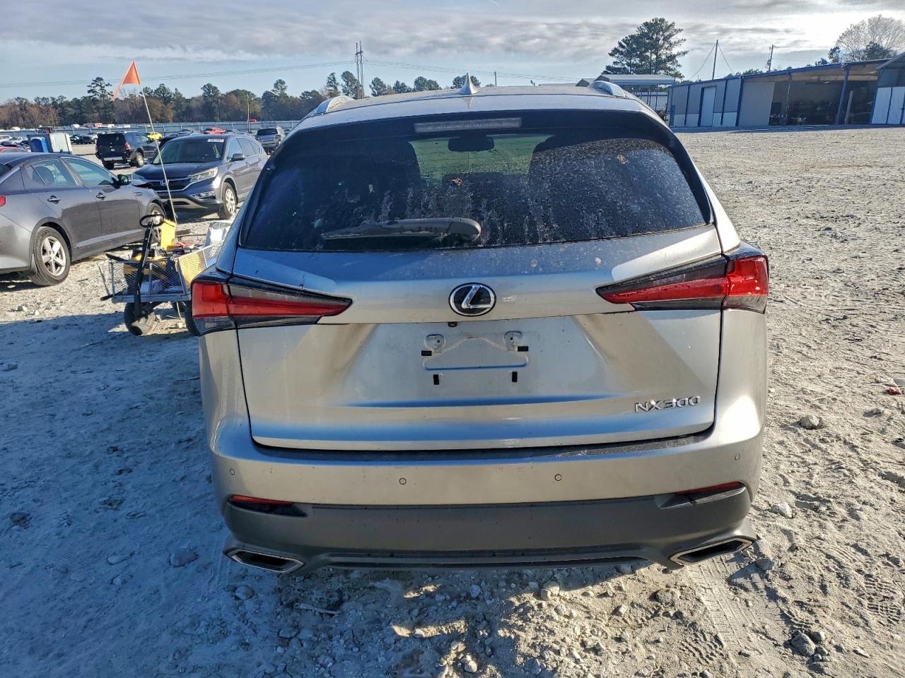 2020 Lexus Nx 300 VIN: JTJDARBZ8L2165685 Lot: 91457375