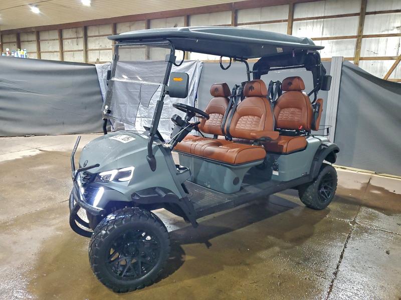 2025 GOLF GOLF CART